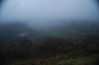 photo2