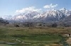 photo(chronicle, )