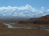 photo(chronicle, )