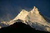 photo(chronicle, )