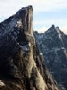 photo(chronicle, )