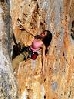 photo(chronicle, )