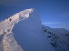 photo(chronicle, )
