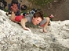 photo(chronicle, )
