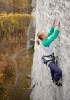 photo(chronicle, )