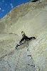 photo(gallery, Patagonia 2004)