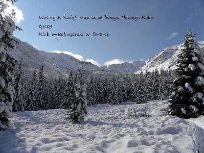photo2